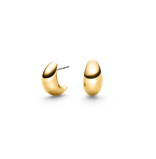 Titanium oorbellen Boccia goudkleurig boogje 15 mm.