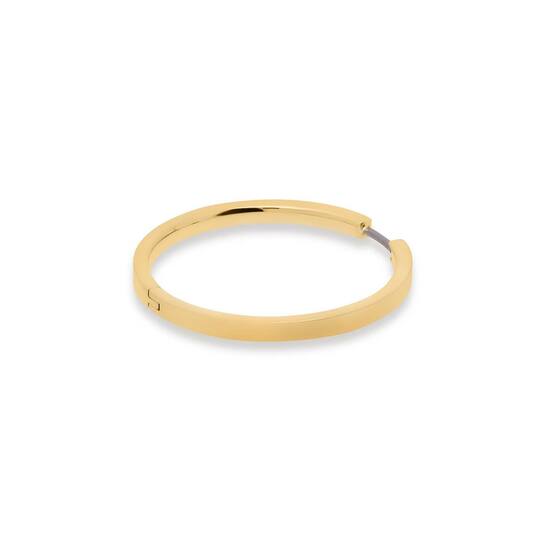 Titanium oorbellen Boccia goudkleurige oorringen 32 mm.