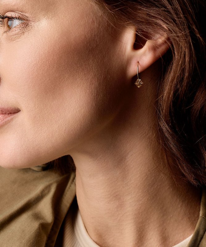 Blomdahl titanium goudkleurige oorringen golden shadow kristal – 14 mm - Staartjes en Strikjes