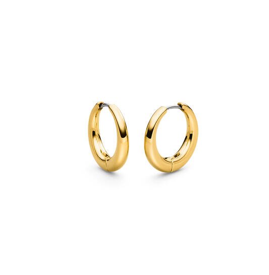 Titanium oorbellen Boccia oorringen rond breed goudkleurig 20 mm. - Staartjes en Strikjes