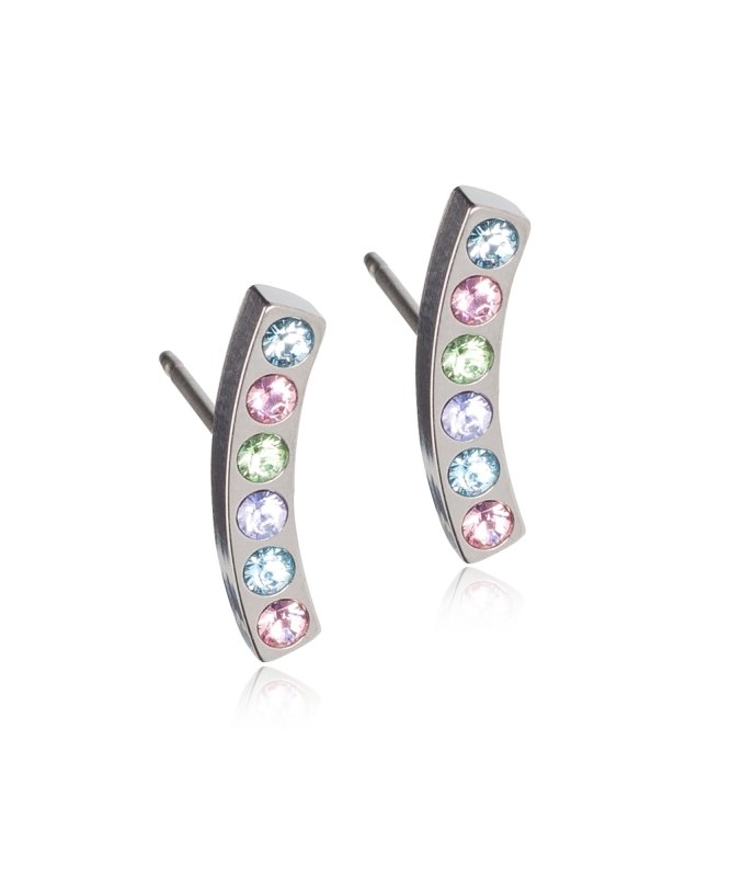 Blomdahl titanium boog zilverkleurig 14 mm met gekleurde crystalletjes (incl. achterkantjes) - Staartjes en Strikjes