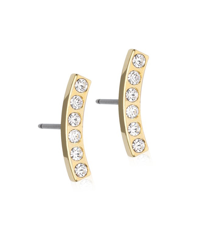 Oorbellen Blomdahl titanium boog zilverkleurig 14 mm goudkleurig (incl. achterkantjes) - Staartjes en Strikjes