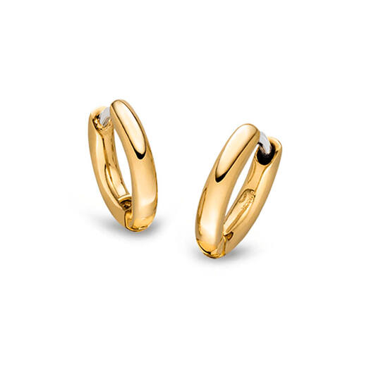 Titanium oorbellen Boccia oorringen goudkleurig 10 mm.