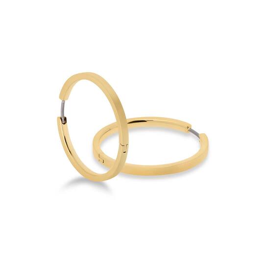 Titanium oorbellen Boccia goudkleurige oorringen 32 mm.