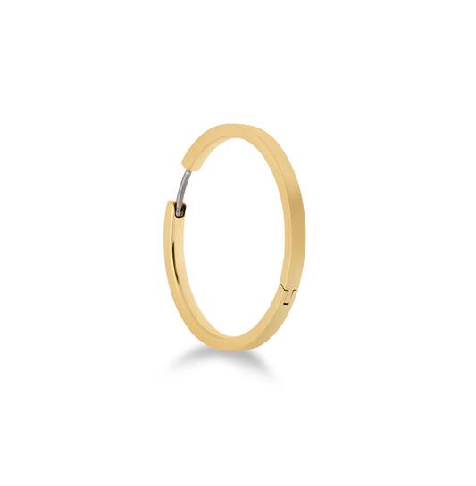 Titanium oorbellen Boccia goudkleurige oorringen 32 mm.