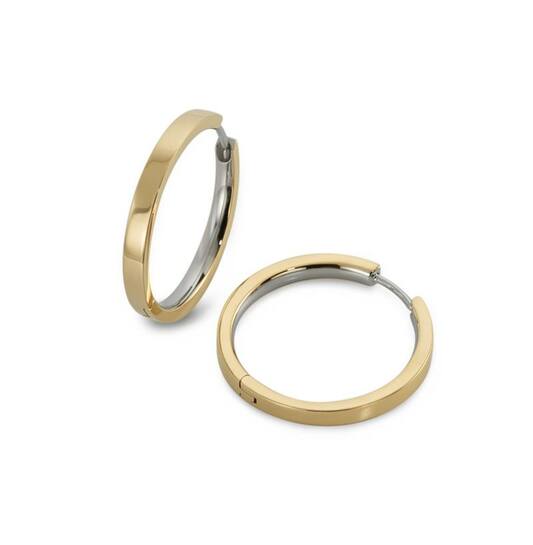 Titanium oorbellen Boccia oorringen goudkleurig 23 mm.