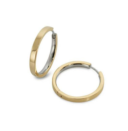 Titanium oorbellen Boccia oorringen goudkleurig 23 mm.