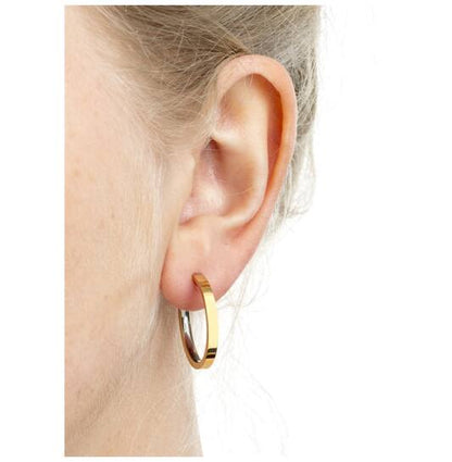 Titanium oorbellen Boccia oorringen goudkleurig 23 mm.