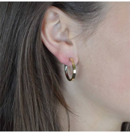Titanium oorbellen Boccia oorringen goudkleurig 23 mm.