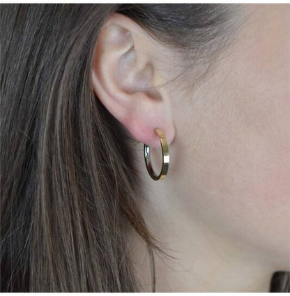 Titanium oorbellen Boccia oorringen goudkleurig 23 mm.