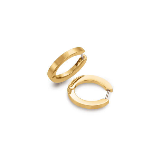 Titanium oorbellen Boccia oorringen ovaal goudkleurig 20 mm.