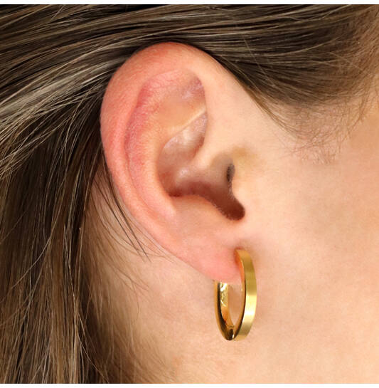 Titanium oorbellen Boccia oorringen ovaal goudkleurig 20 mm.
