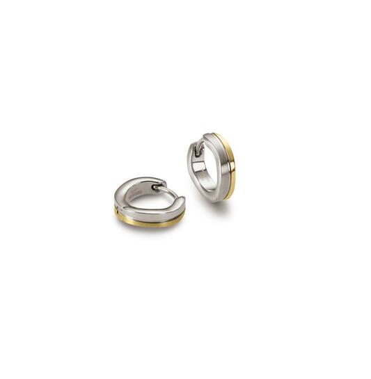Titanium oorbellen Boccia oorringen 13 mm. mat zilver/goudkleurig