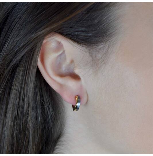 Titanium oorbellen Boccia oorringen 13 mm. mat zilver/goudkleurig