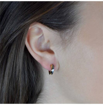 Titanium oorbellen Boccia oorringen 13 mm. mat zilver/goudkleurig