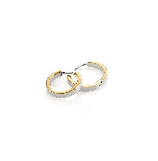 Titanium oorbellen Boccia oorringen goud/zilver 14 mm.