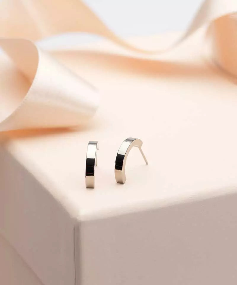Oorbellen Blomdahl titanium boogje zilverkleurig 15 mm. (incl. achterkantjes)