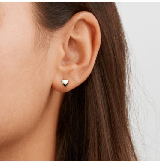 Titanium kinderoorbellen Boccia hartje - Staartjes en Strikjes