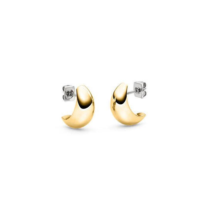 Titanium oorbellen Boccia goudkleurig boogje 15 mm. - Staartjes en Strikjes