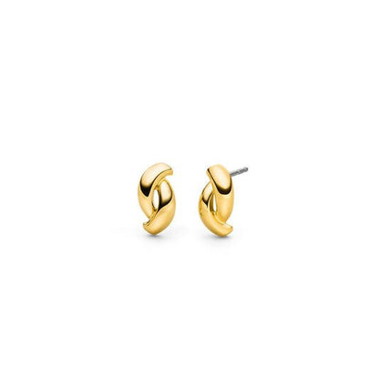 Titanium oorbellen Boccia goudkleurig twist - Staartjes en Strikjes