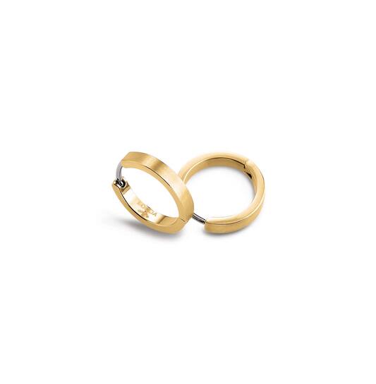 Titanium oorbellen Boccia goudkleurige oorringen 14 mm. - Staartjes en Strikjes