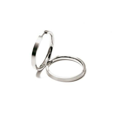 Titanium oorbellen Boccia oorringen 24 mm. - Staartjes en Strikjes