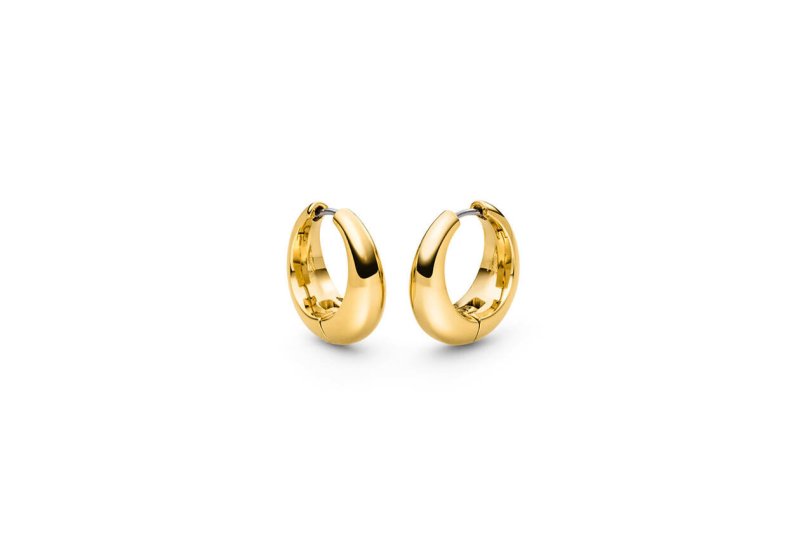 Titanium oorbellen Boccia oorringen extra breed goudkleurig 21 mm. - Staartjes en Strikjes