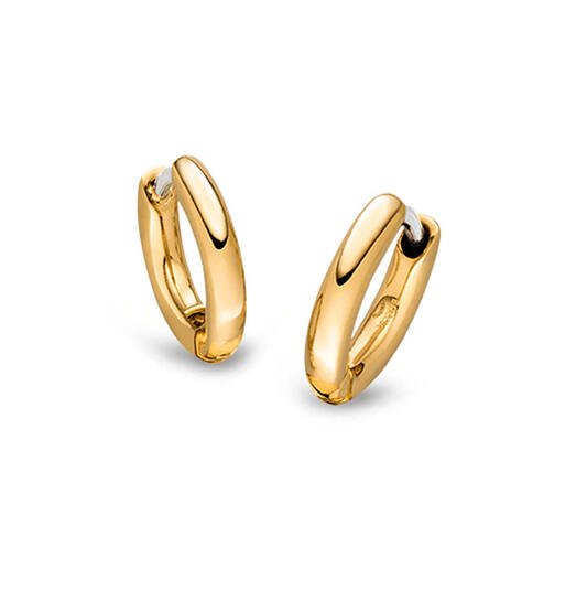 Titanium oorbellen Boccia oorringen goudkleurig rond 10 mm. - Staartjes en Strikjes