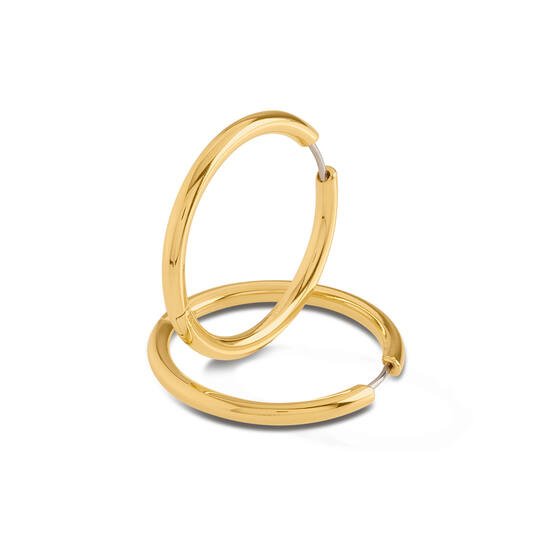 Titanium oorbellen Boccia oorringen goudkleurig rond 30 mm. - Staartjes en Strikjes