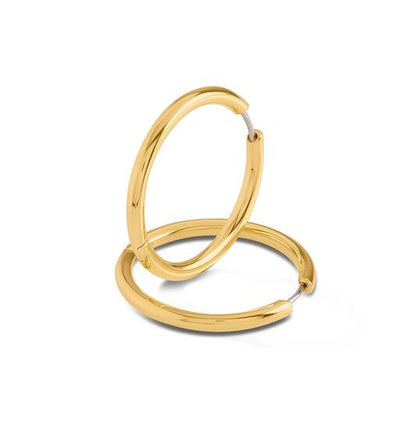 Titanium oorbellen Boccia oorringen goudkleurig rond 30 mm. - Staartjes en Strikjes