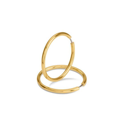 Titanium oorbellen Boccia oorringen goudkleurig rond 40 mm. - Staartjes en Strikjes