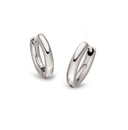 Titanium oorbellen Boccia oorringen rond 10 mm. - Staartjes en Strikjes