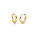 Titanium oorbellen Boccia oorringen rond breed goudkleurig 20 mm. - Staartjes en Strikjes