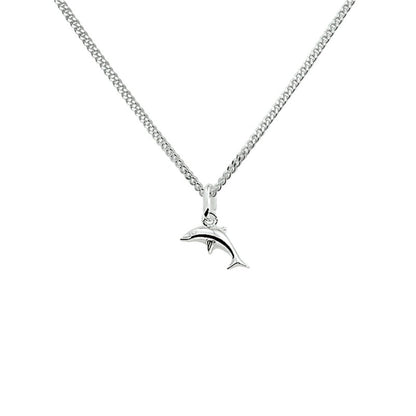 Zilveren ketting dolfijn - Staartjes en Strikjes