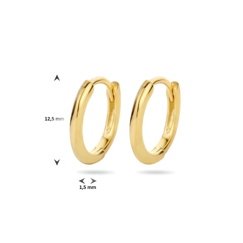 Zilveren oorbellen creolen/oorringen goldplated 9 mm. - Staartjes en Strikjes