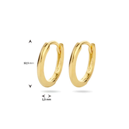 Zilveren oorbellen creolen/oorringen goldplated 9 mm. - Staartjes en Strikjes