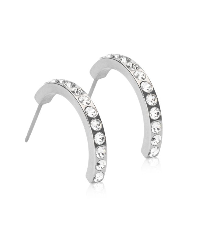 Oorbellen Blomdahl titanium boogje met crystal steentjes 20 mm. (incl. achterkantjes) - Staartjes en Strikjes