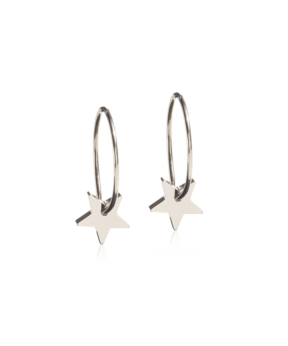 Oorbellen Blomdahl titanium oorringen 14 mm. met ster - Staartjes en Strikjes