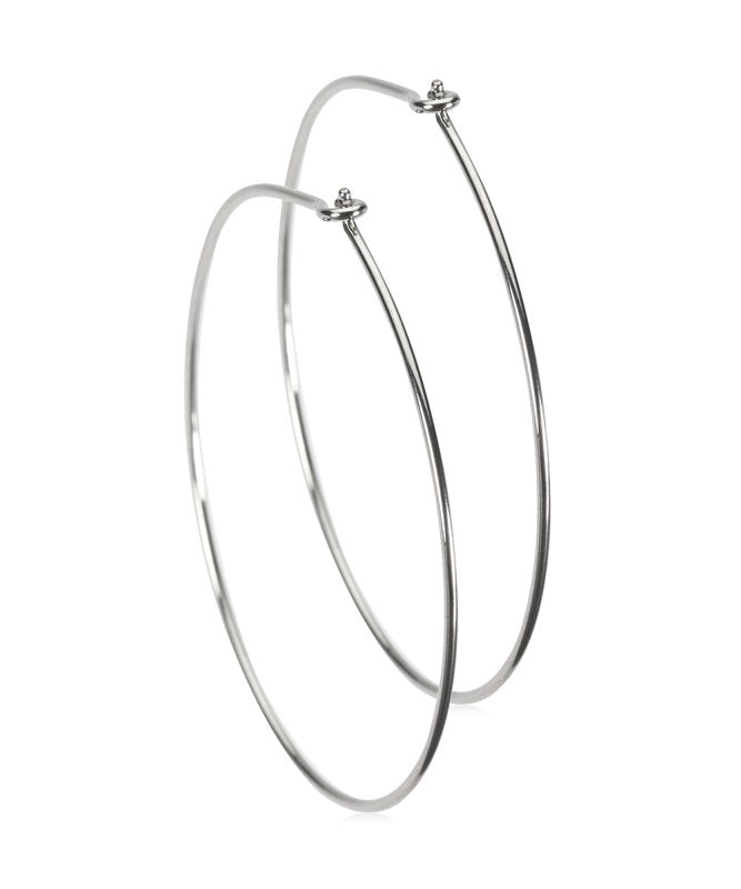 Oorbellen Blomdahl titanium oorringen extra groot 35 mm. - Staartjes en Strikjes